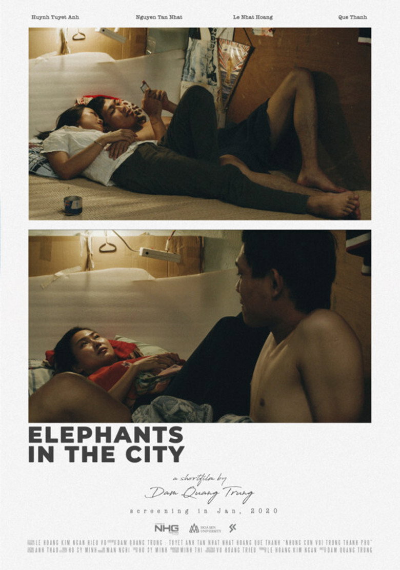 Elephants In The City poster