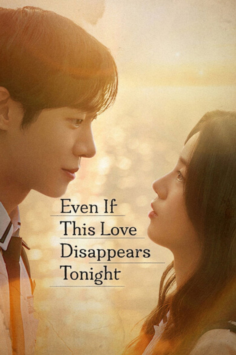 Even If This Love Disappears Tonight poster
