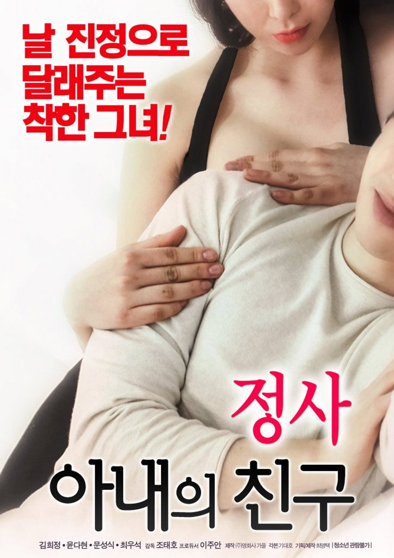 An Affair: My Wife's Friend poster