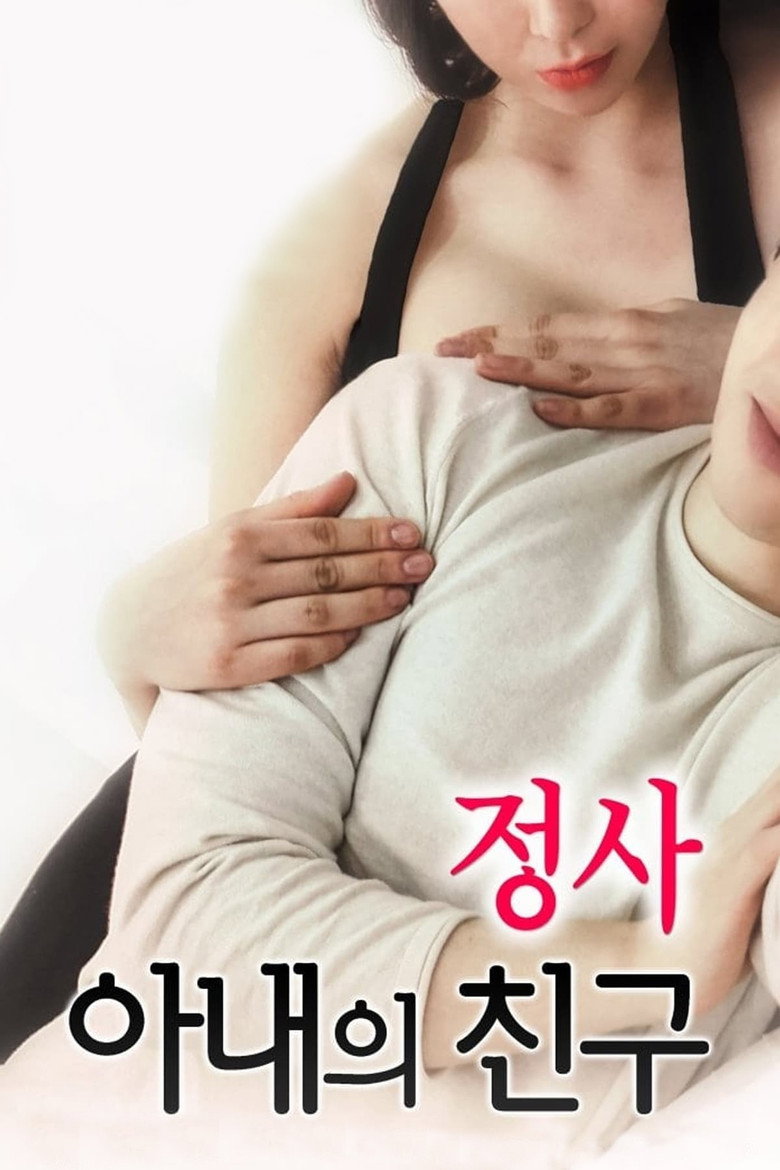 An Affair: My Wife's Friend poster