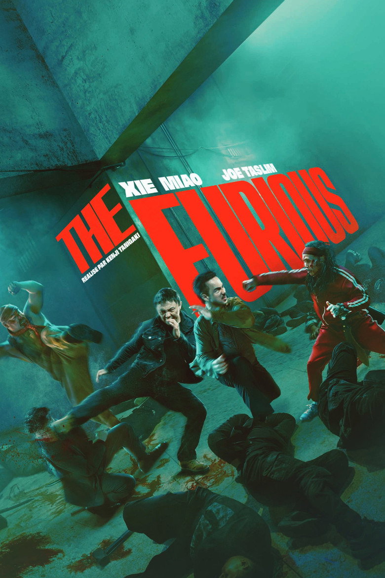 The Furious poster