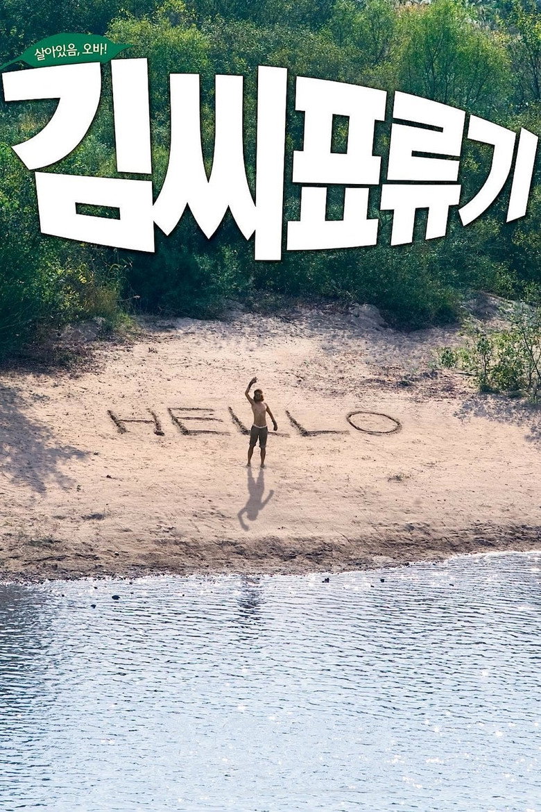 Castaway on the Moon poster