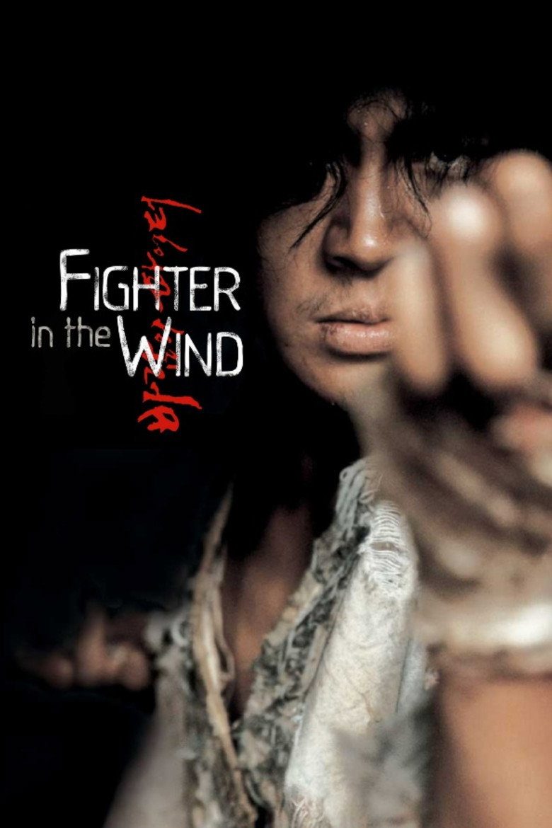 Fighter in the Wind poster