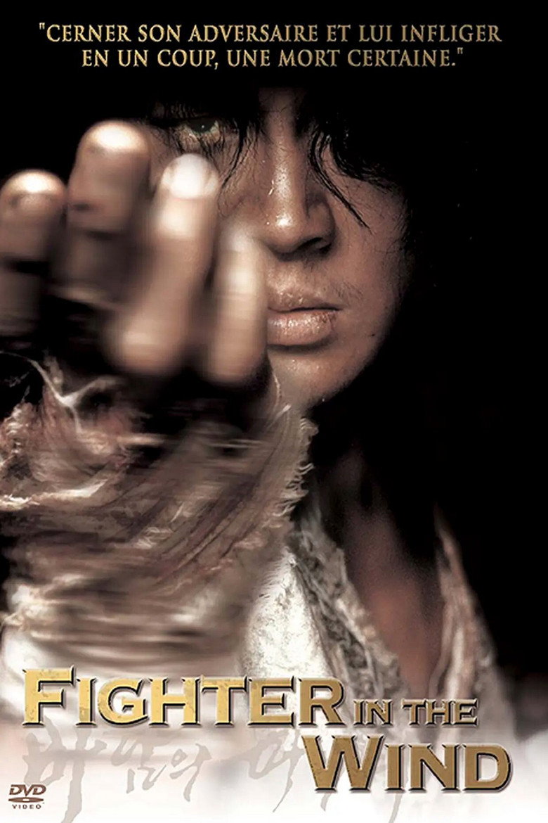 Fighter in the Wind poster