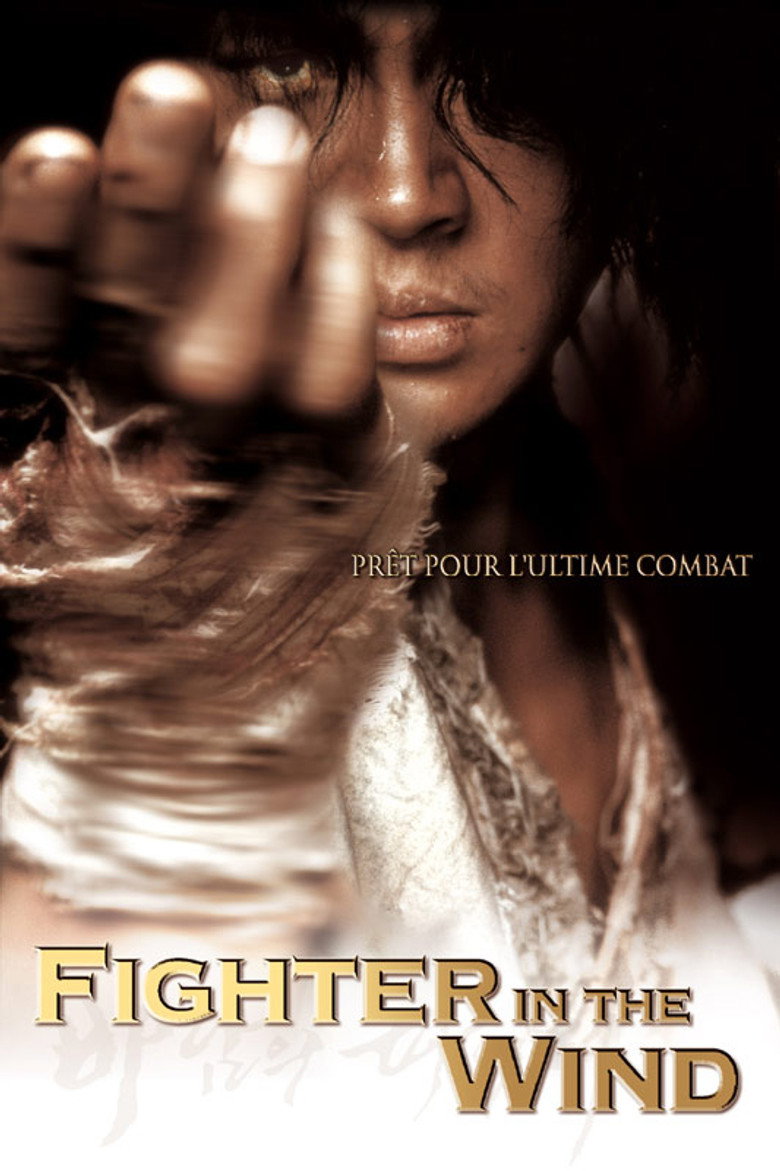 Fighter in the Wind poster