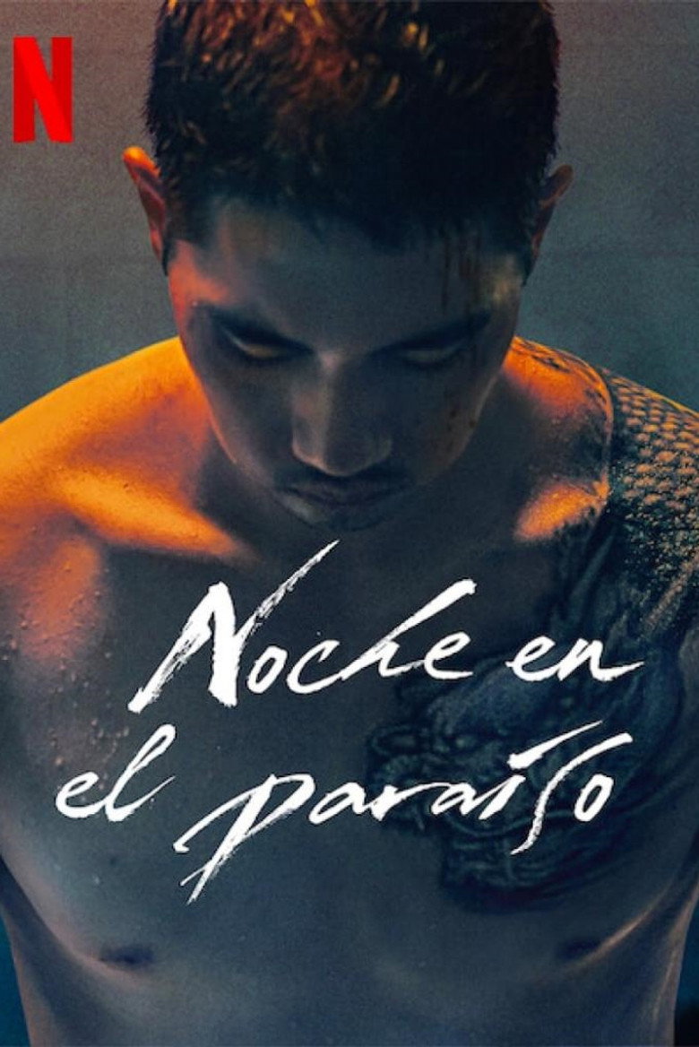 Night in Paradise poster