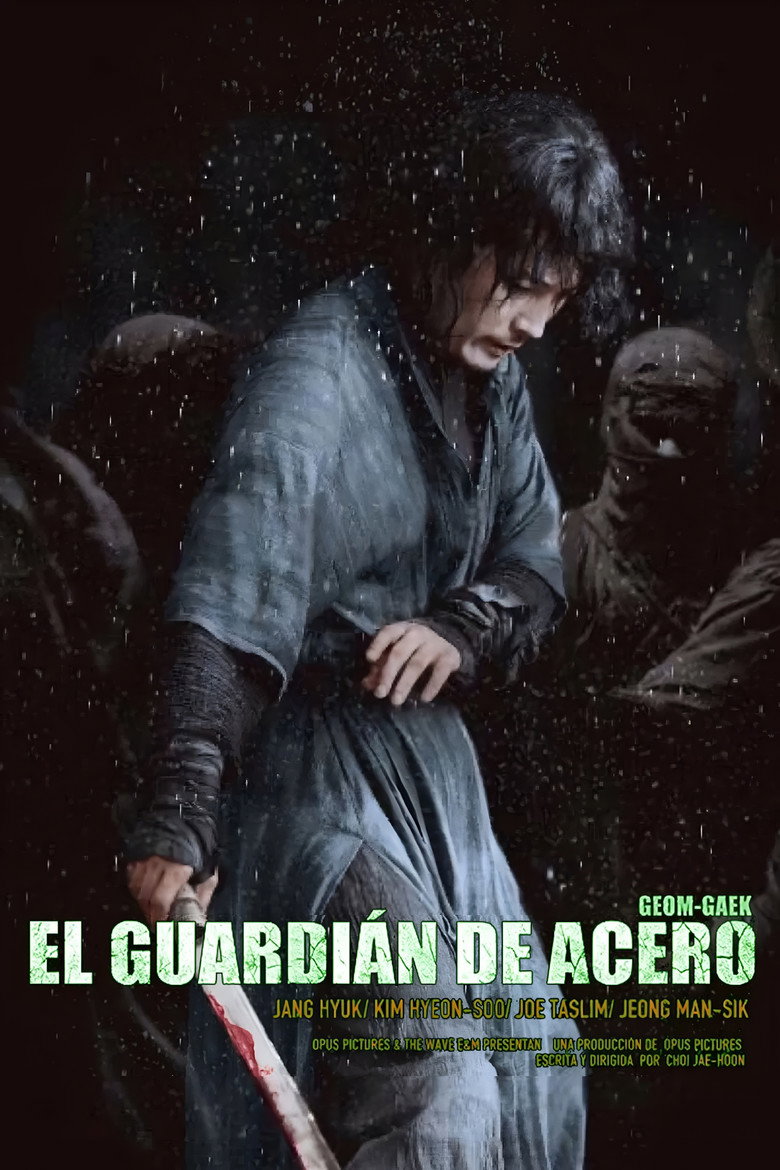 The Swordsman poster