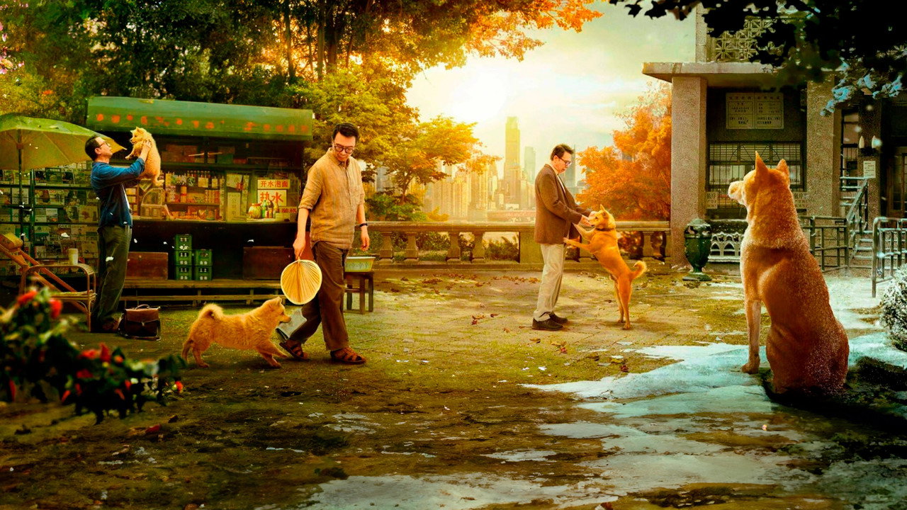 Hachiko backdrop