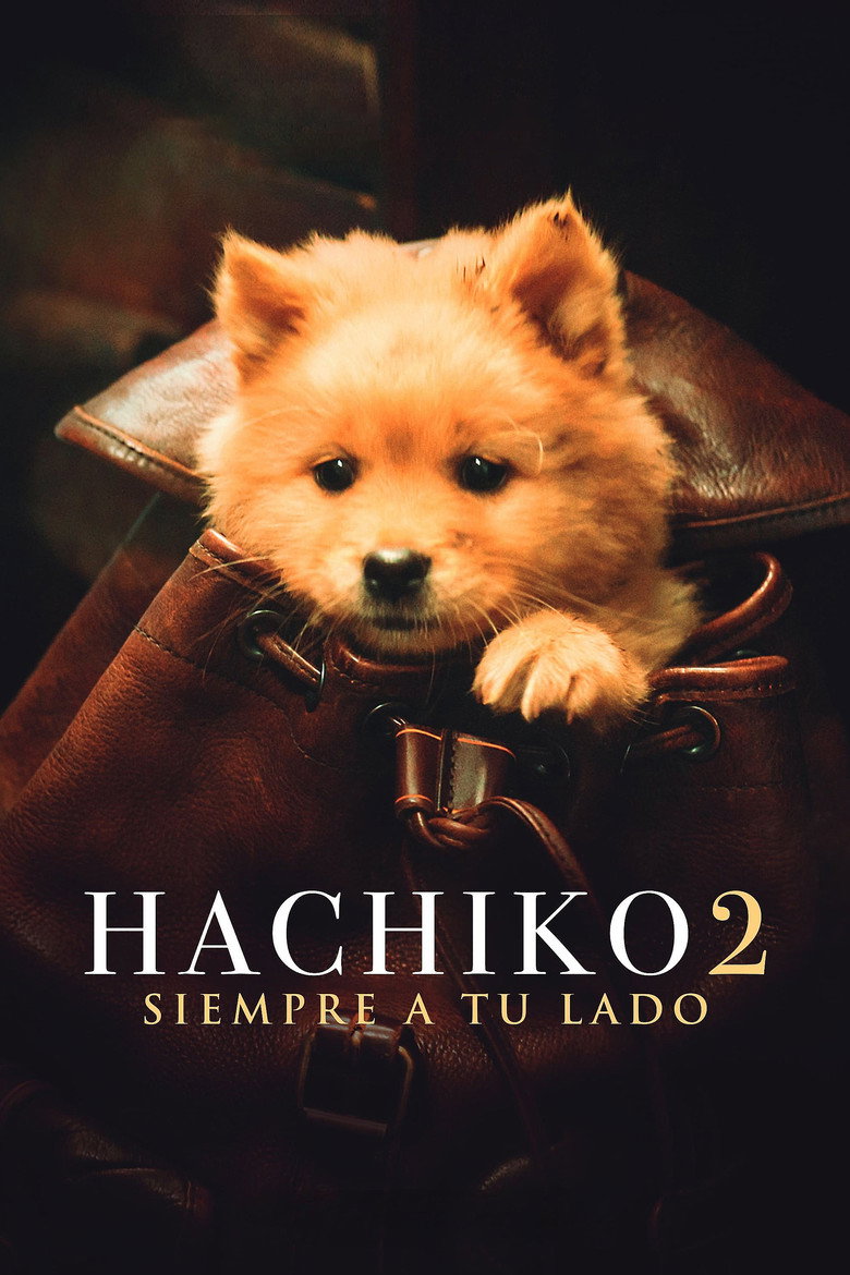 Hachiko poster