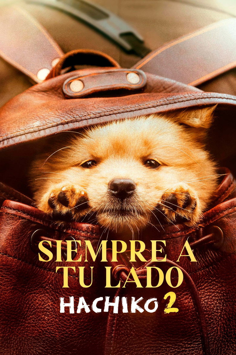 Hachiko poster