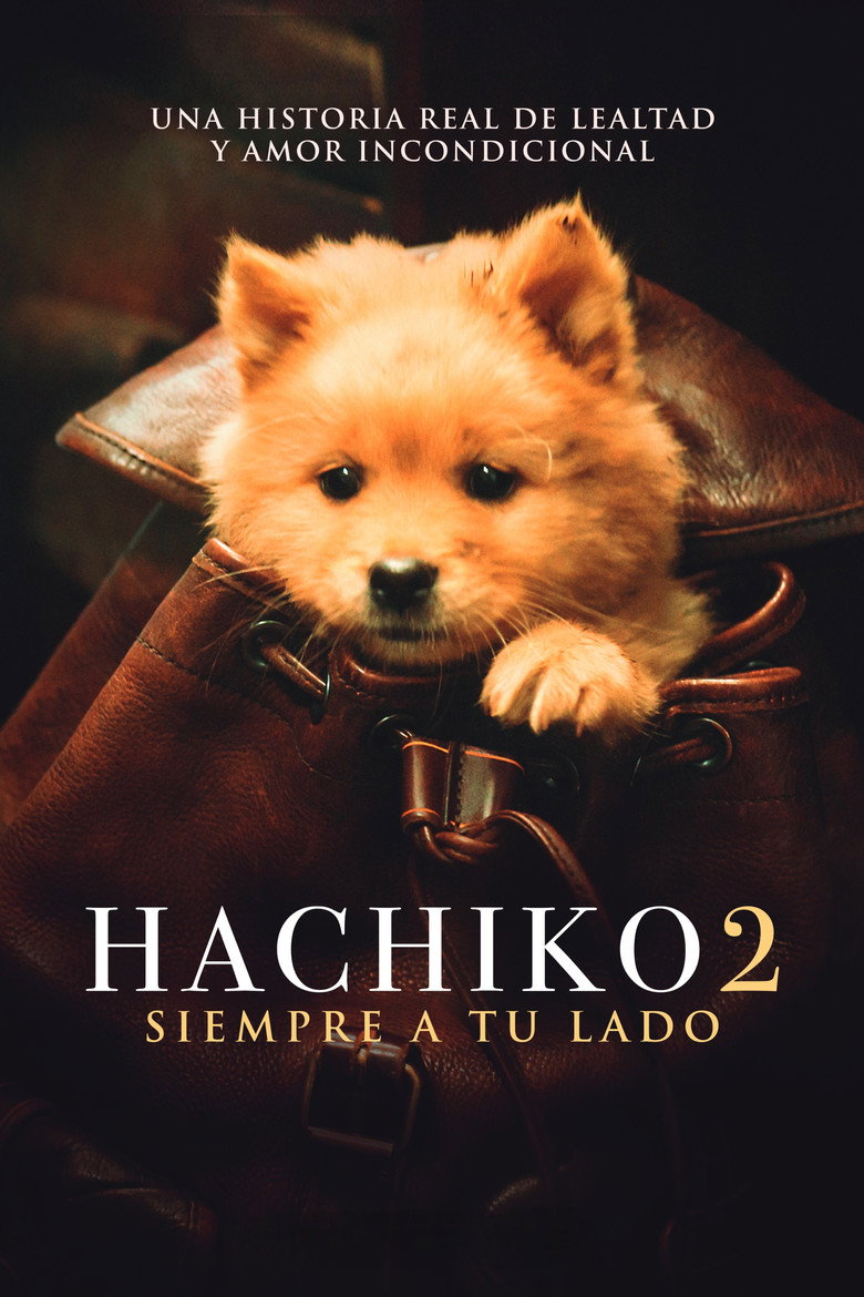Hachiko poster