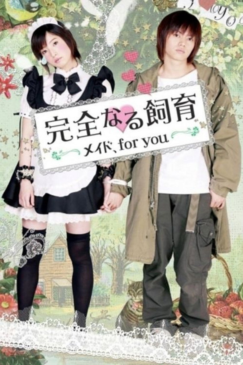 Perfect Education: A Maid for You poster