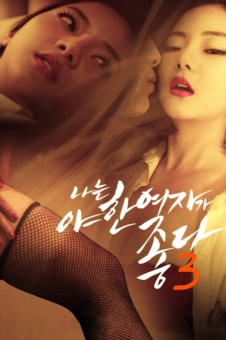 I Like Sexy Women 3 poster