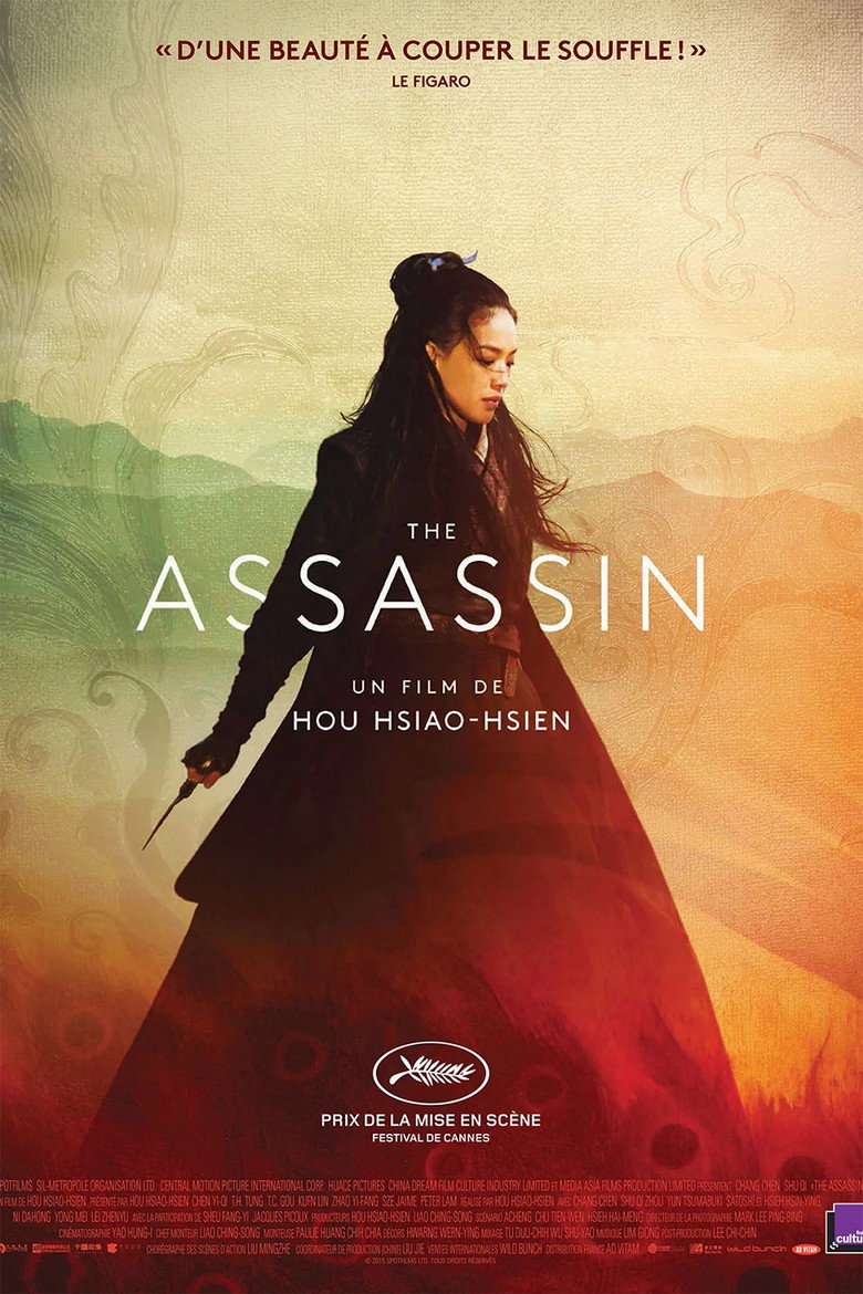 The Assassin poster