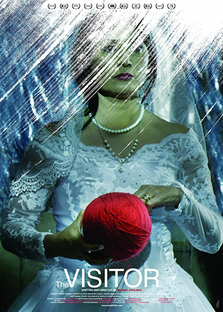 The Visitor poster