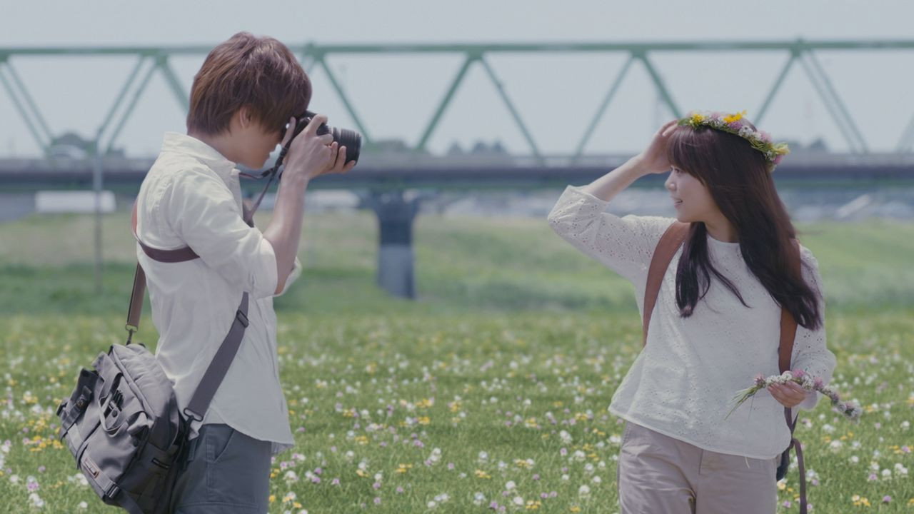 Evergreen Love backdrop