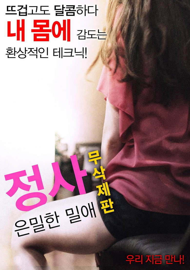Love Affair: A Secret Affair poster