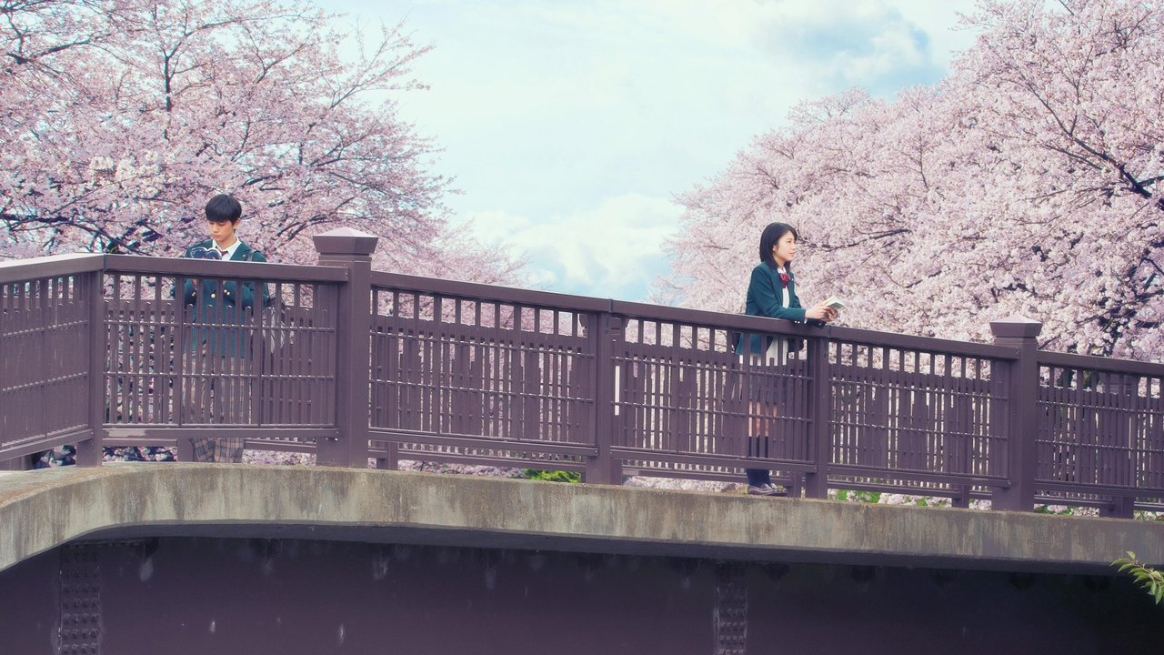 Let Me Eat Your Pancreas backdrop