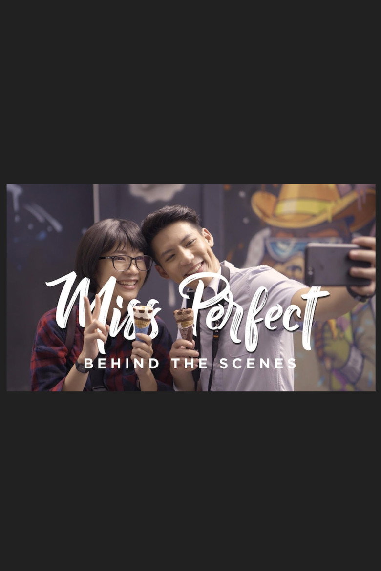 Miss Perfect poster