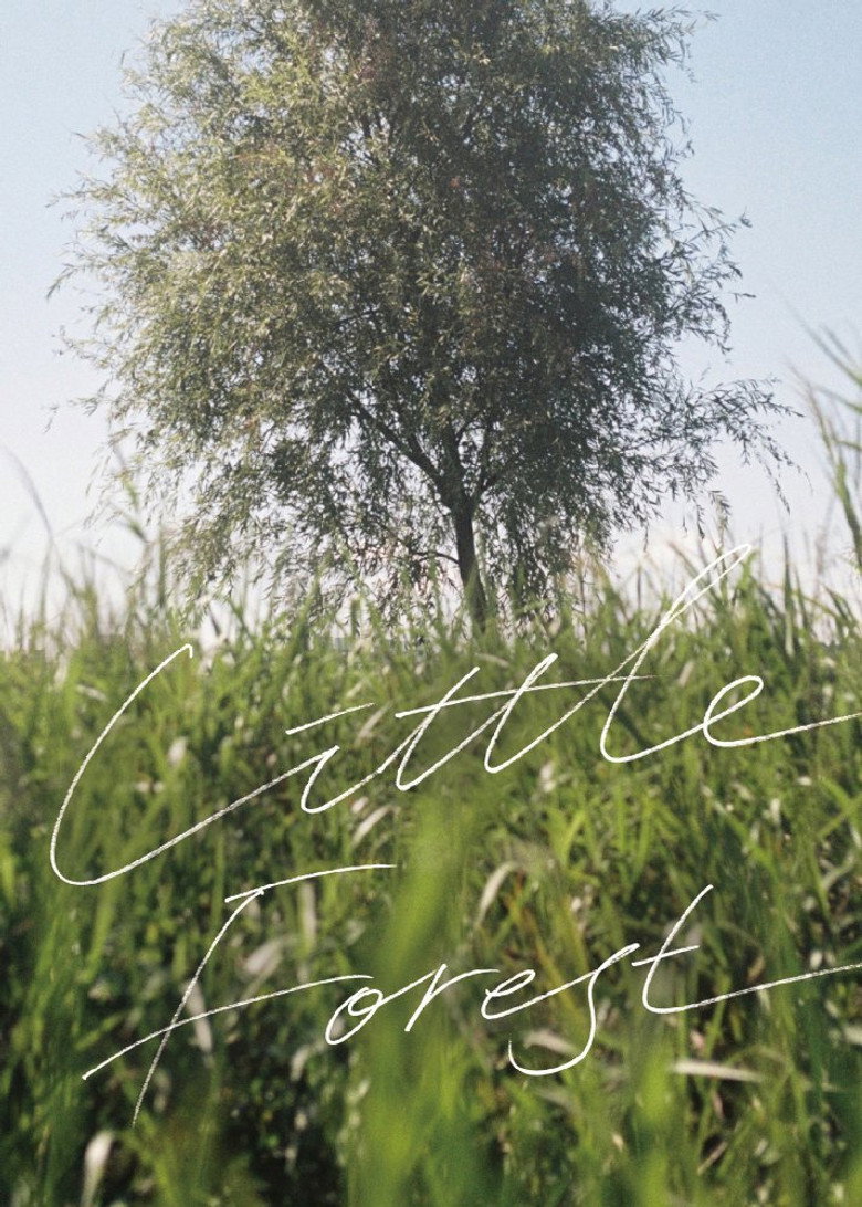 Little Forest poster