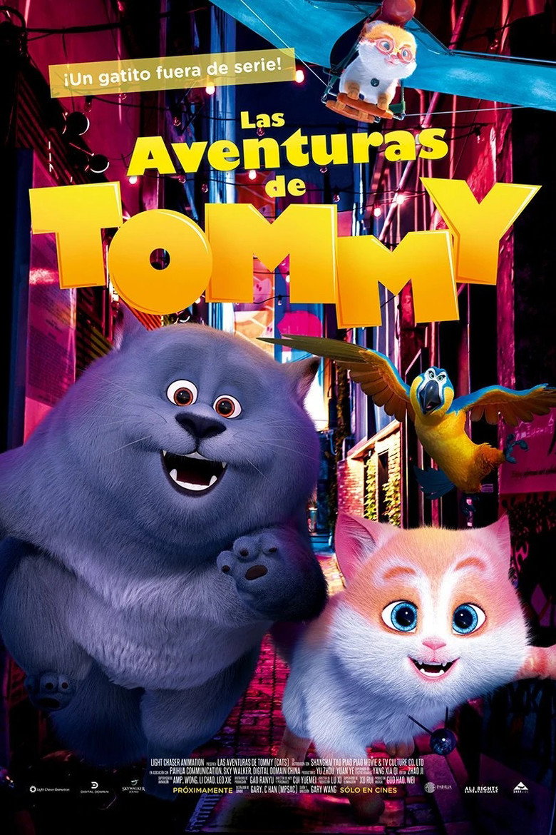 Cats poster