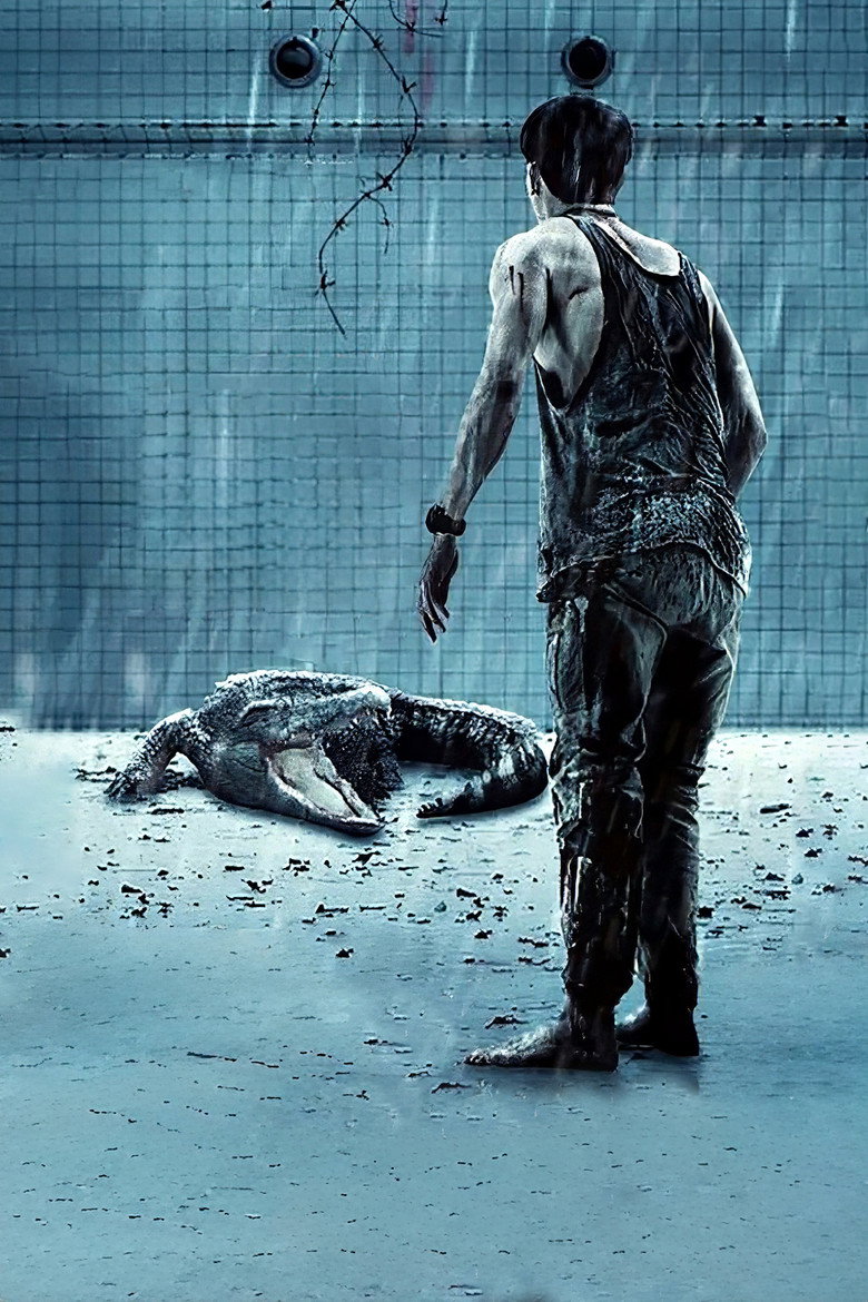 The Pool poster