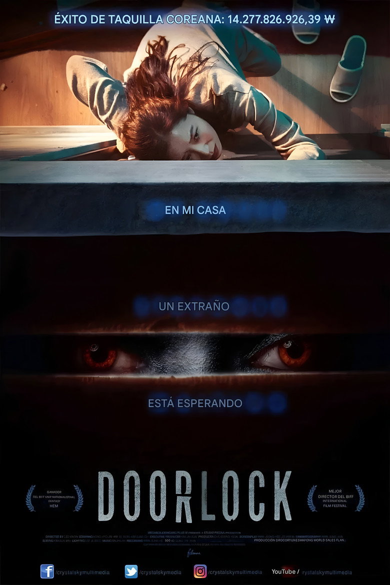 Door Lock poster