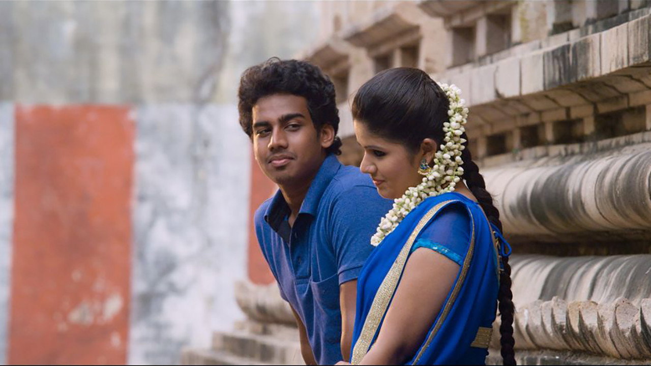 Sagaa backdrop