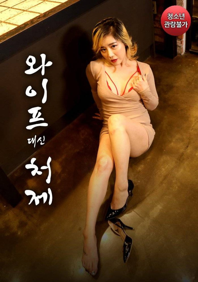 Sister-in-law Instead of Wife poster