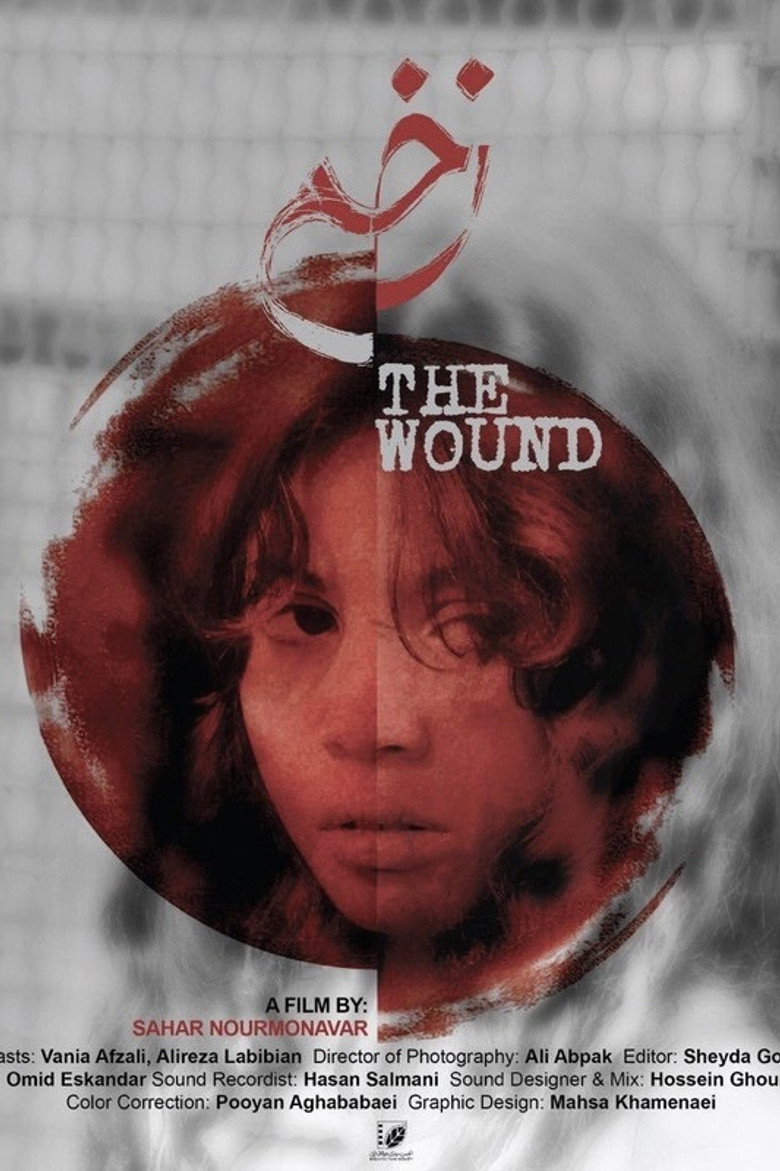 The Wound poster