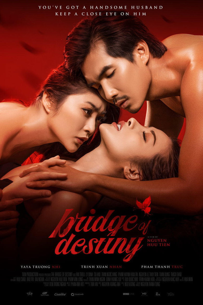 Bridge of Destiny poster