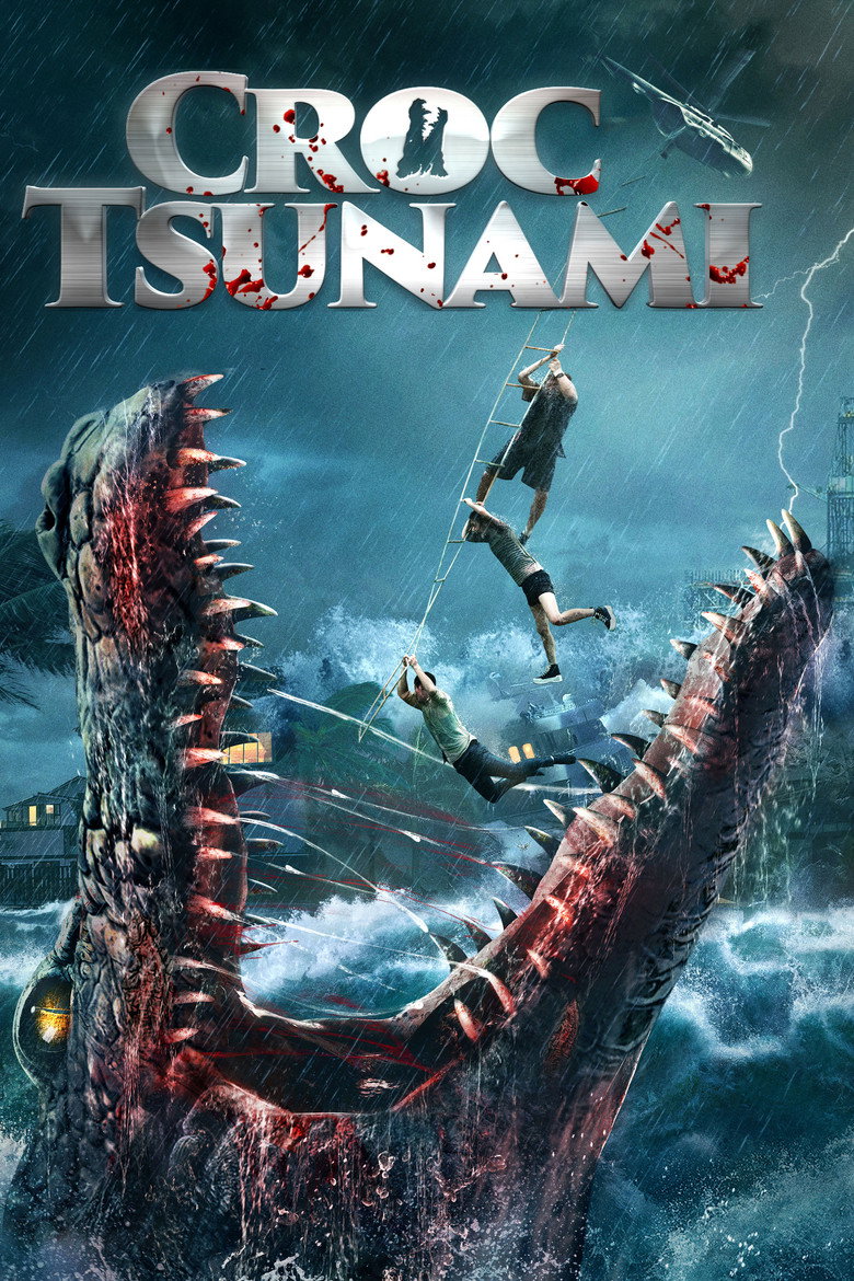 Crazy Tsunami poster