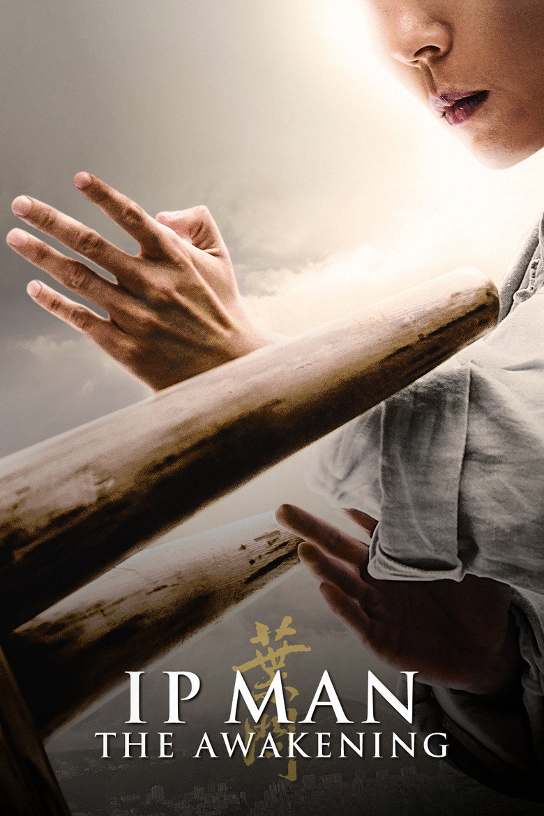 Ip Man: The Awakening poster