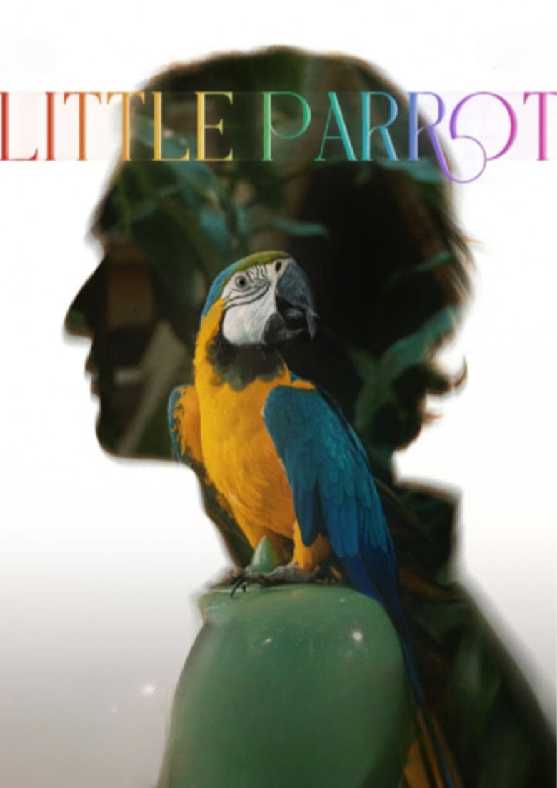 Little Parrot poster
