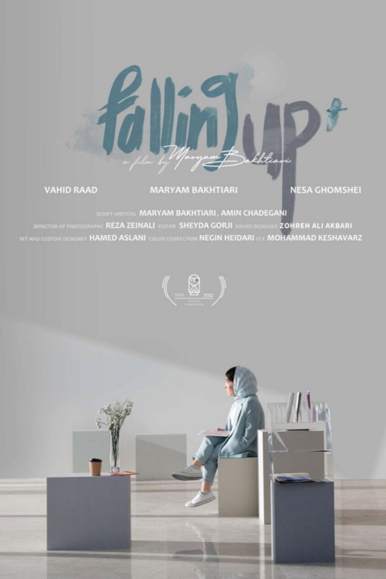 Falling Up poster