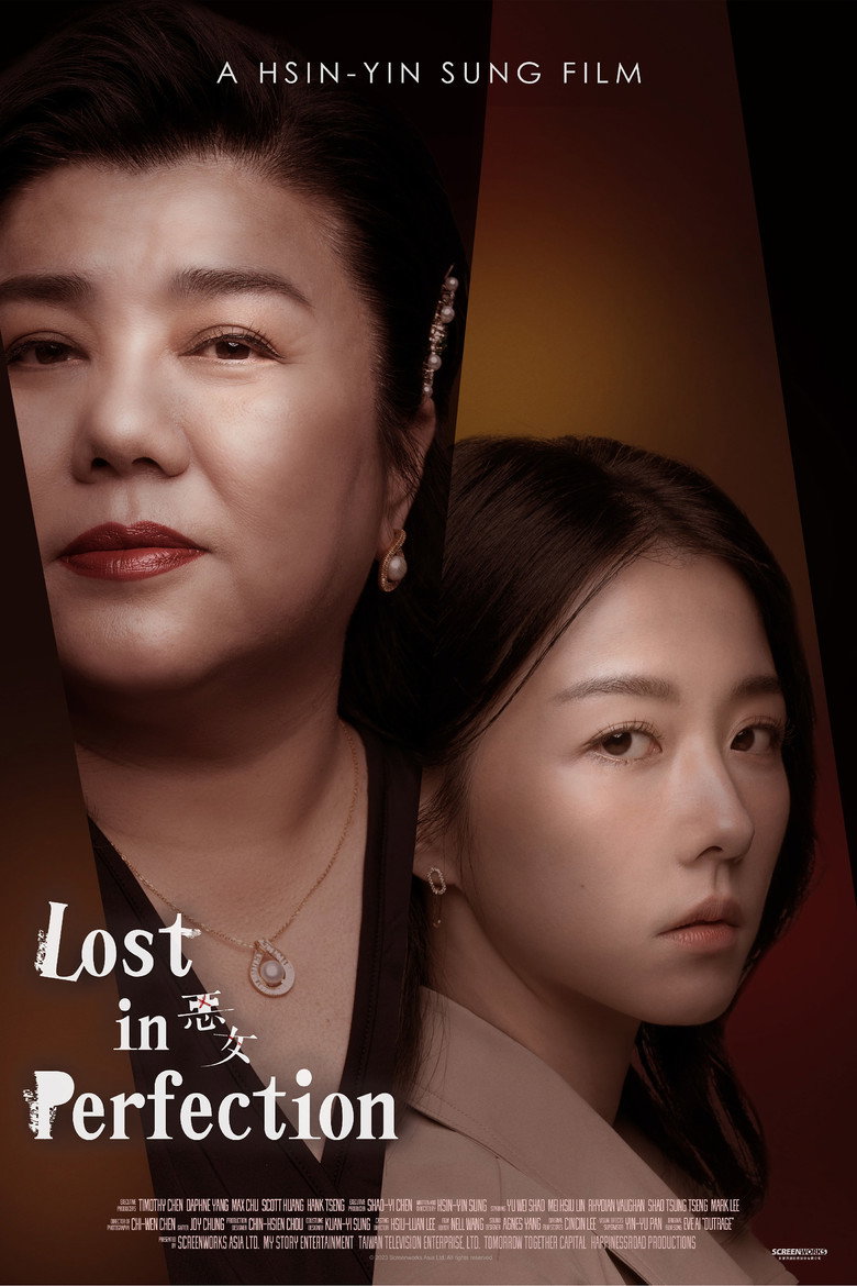 Lost in Perfection poster
