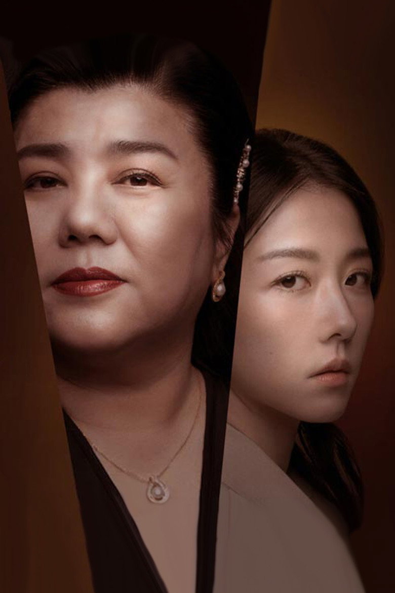 Lost in Perfection poster