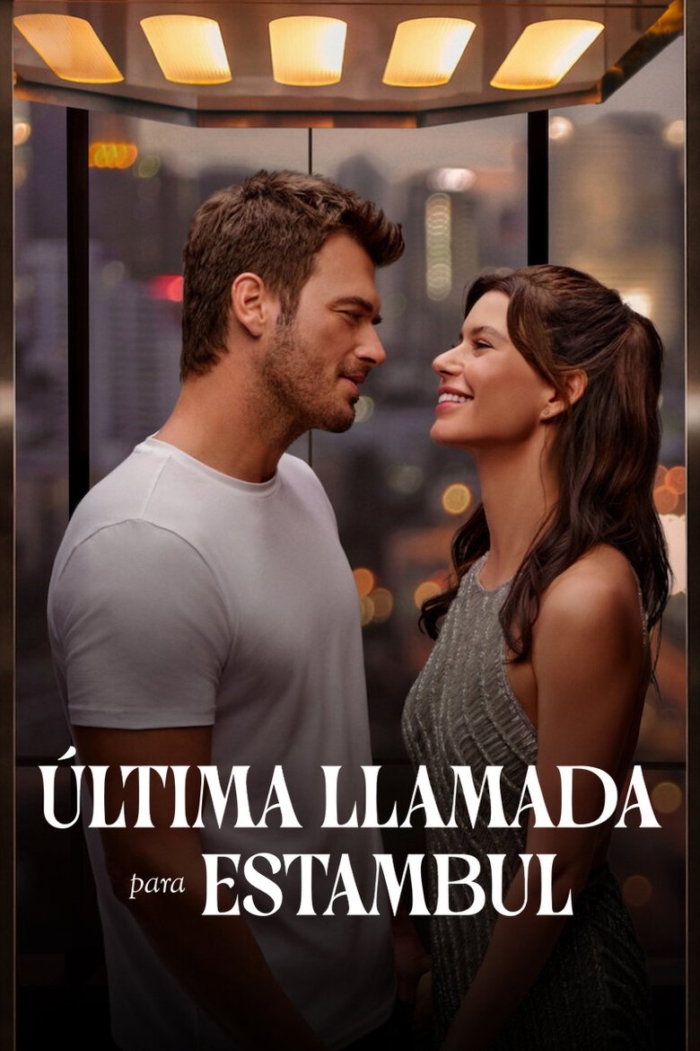 Last Call for Istanbul poster