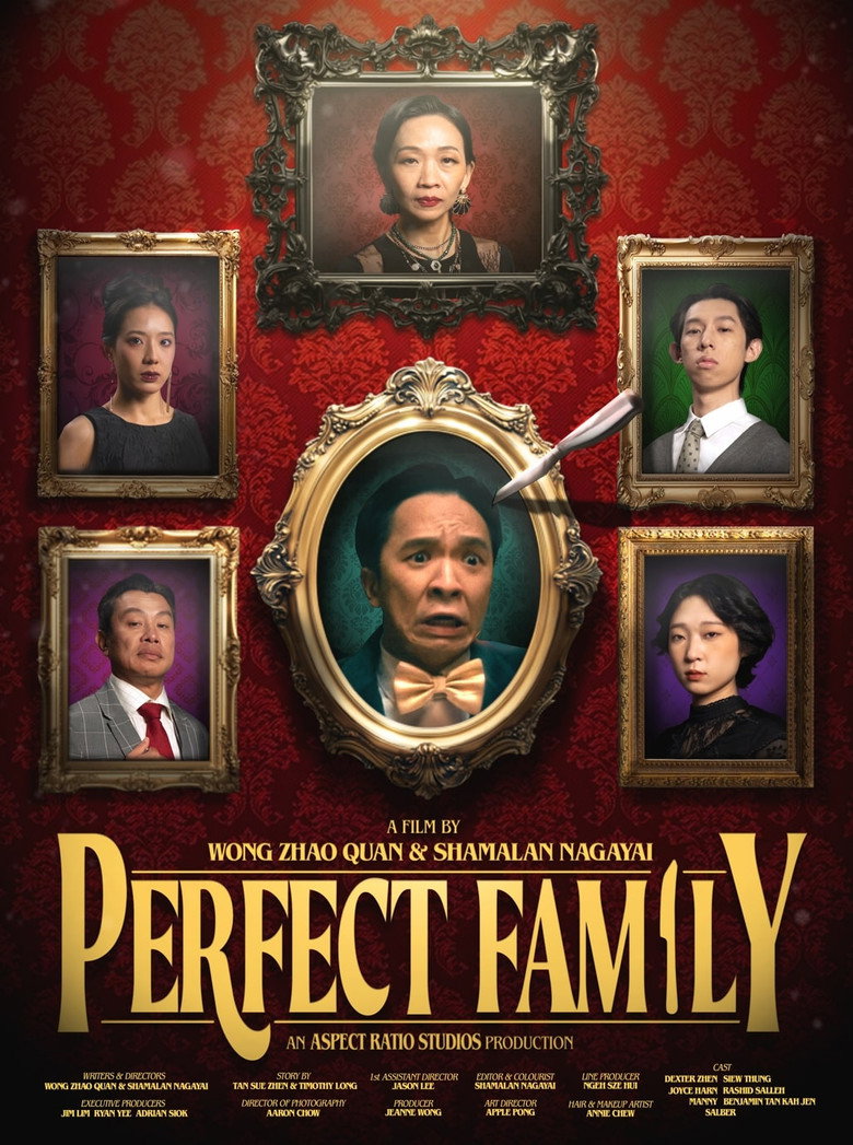 Perfect Family poster