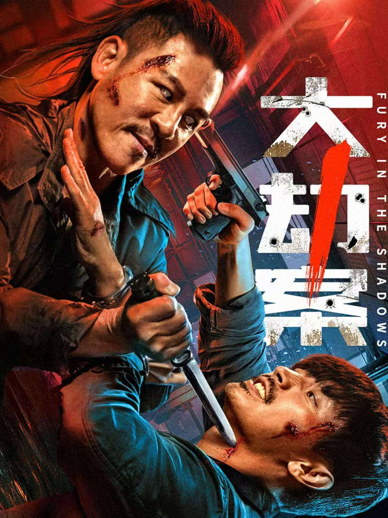 Fury In the Shadows poster