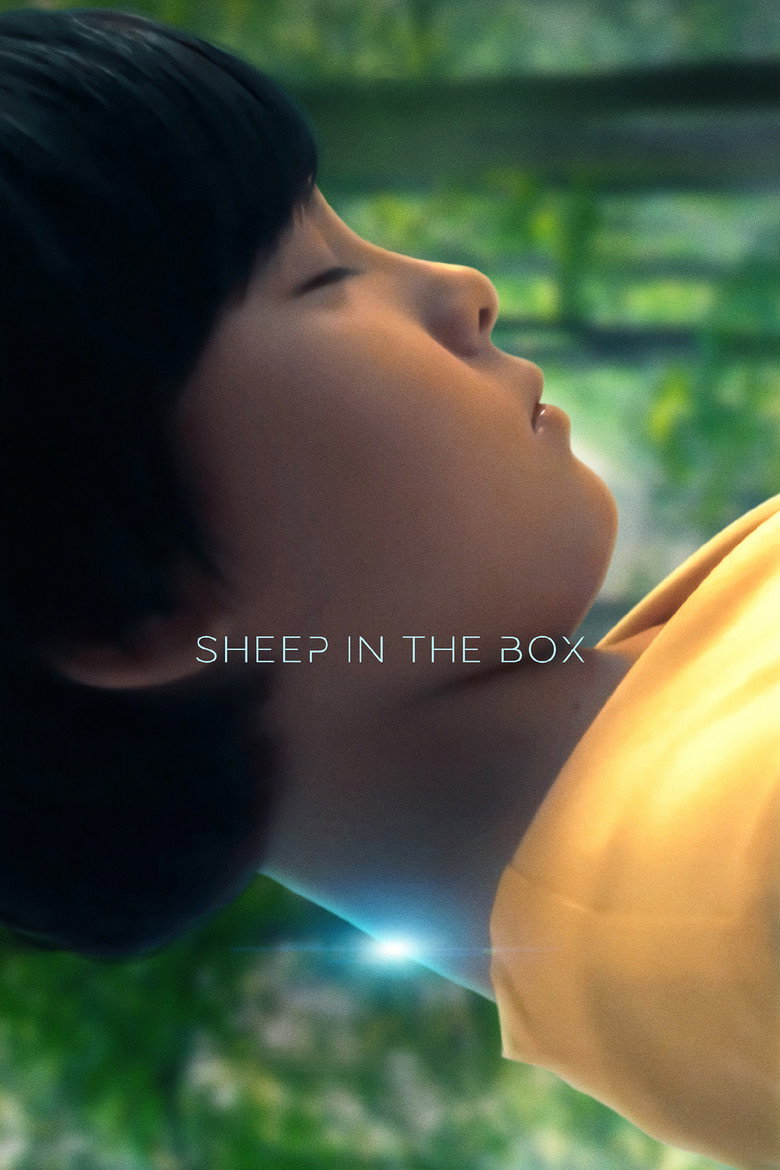 Sheep in the Box poster