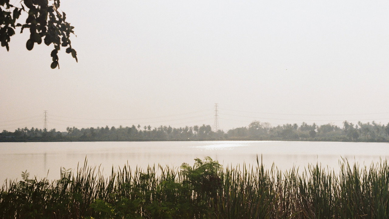Navillera backdrop