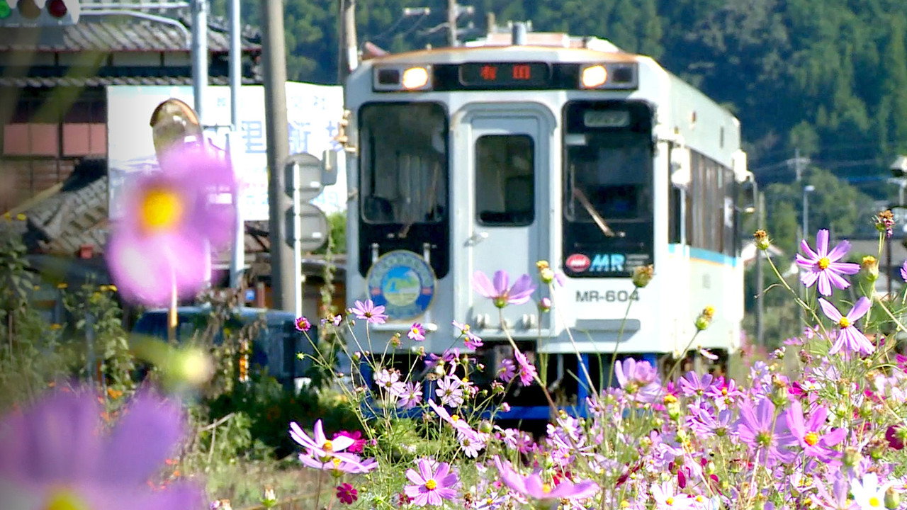 Train Cruise backdrop