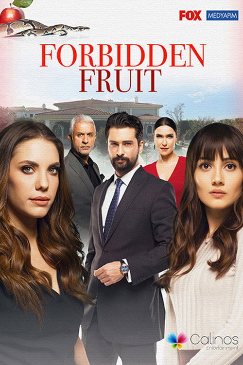 The forbidden apple