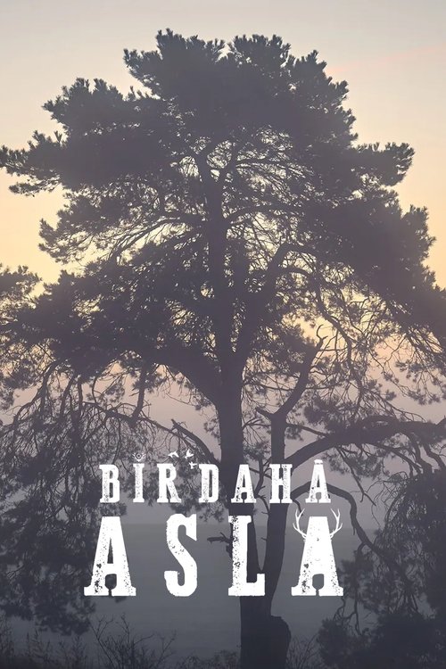 Bir Daha Asla