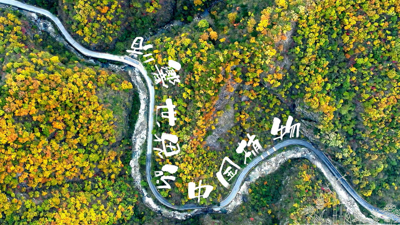 The Journey of Chinese Plants backdrop